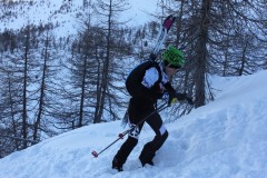 Fux Simplon 1