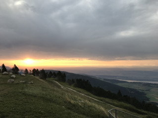 image11